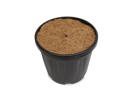 Szkółkarski dysk kokosowy Wimar: ściółkujący krążek ochronny 24cm do doniczek 5-9L