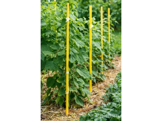Żółte tyczki, paliki szkółkarskie z włókna szklanego, paczka 100 sztuk