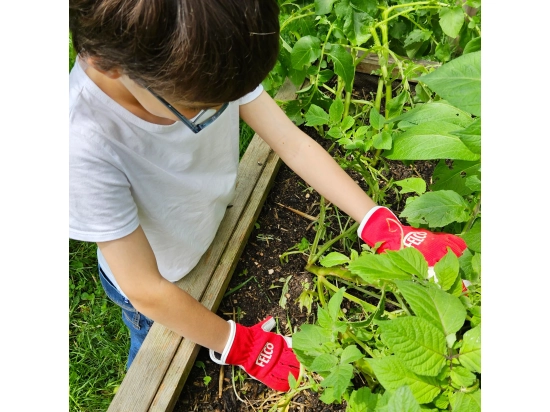 Rękawice dzięcięce robocze  FELCO KIDS 720 dla dzieci 6-8 lat, ochronne