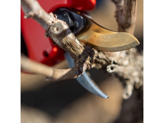 Sekator elektryczny FELCO 834V  ostrze 34mm F-Gold do winorośli  System Antyprzecięciowy