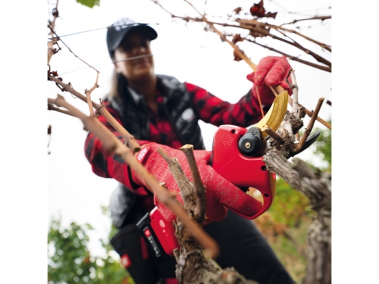 Sekator elektryczny FELCO 834V  ostrze 34mm F-Gold do winorośli  System Antyprzecięciowy