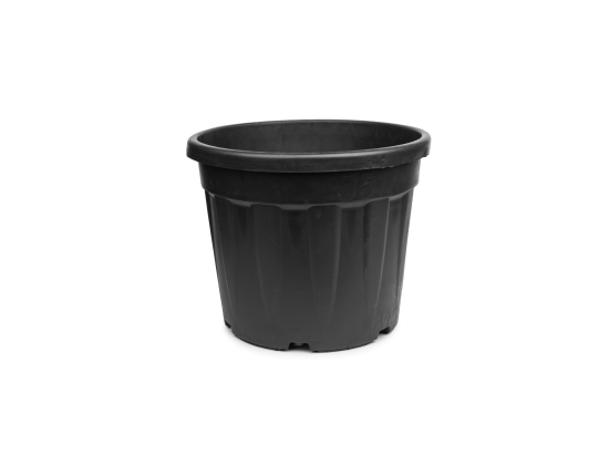 DONICZKI szkółkarskie 32cm 15L 720sztuk