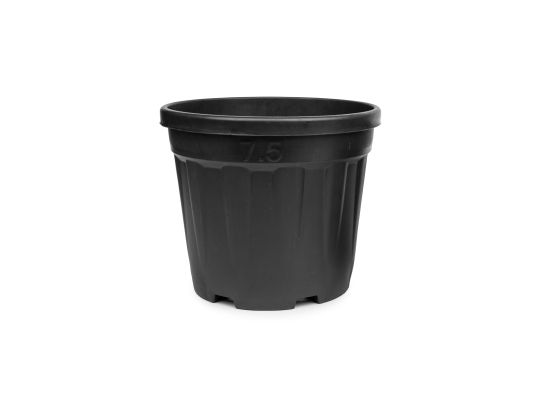 DONICZKI szkółkarskie 44cm 35L 350sztuk