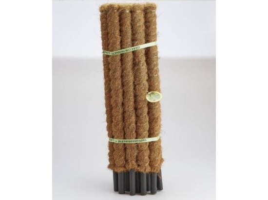 PAL Z WŁÓKNEM KOKOSOWYM Długość 60CM, tyczka podpora do roślin