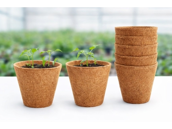 Biodegradowalna Doniczka z kokosa średnica 11cm,1L, do wysiewu 10sztuk