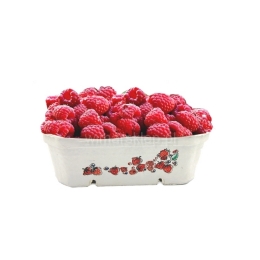 Celulozowy pojemnik na owoce, berigard 500g, karton 400szt