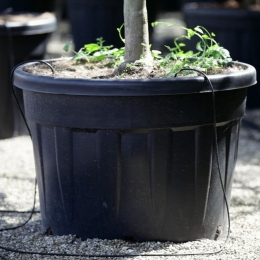 DONICZKI szkółkarskie 32cm 15L 720sztuk